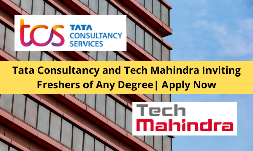 Tata Consultancy and Tech Mahindra Inviting Freshers of Any Degree