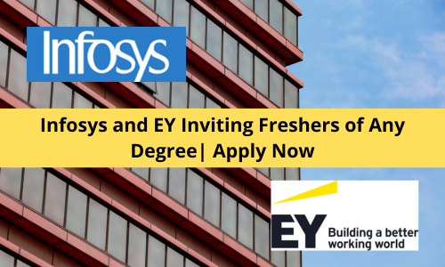 Infosys and EY Inviting Freshers of Any Degree